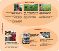 Trọng tâm nghiên cứu