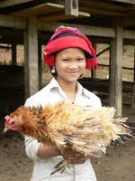Dự án BIODIVA