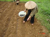 Dự án DURAS