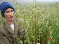Dự án TransADD